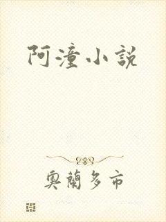 阿潼小说封面