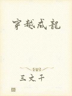 穿越成龙封面