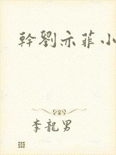 干刘亦菲小说