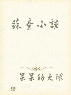 苏童小说