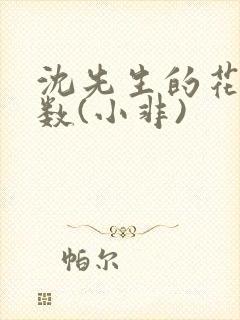沈先生的花式调数(小非)