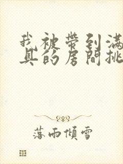 我被带到满是玩具的房间挑调游戏