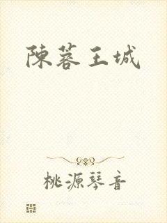 陈蓉王城封面