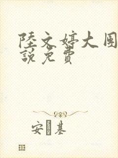 陆文婷大团圆小说免费封面