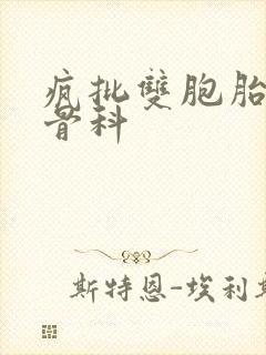 疯批双胞胎兄弟骨科封面