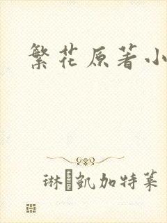 繁花原著小说封面
