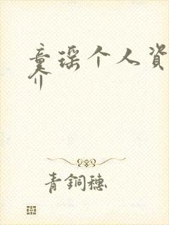 童瑶个人资料简介封面