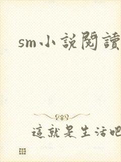 sm小说阅读