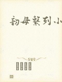 韵母系列小说封面