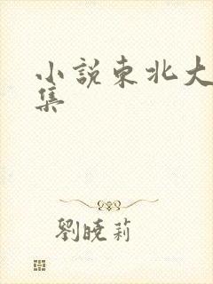 小说东北大炕全集