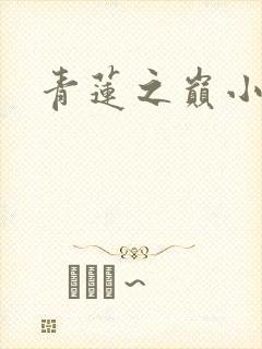 青莲之巅小说