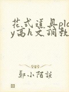 花式道具play高h文调教封面