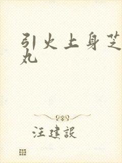 引火上身芝麻糖丸