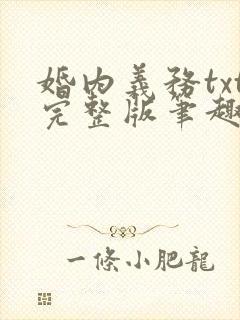 婚内义务txt完整版笔趣阁封面