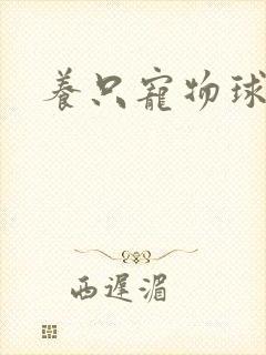 养只宠物球封面