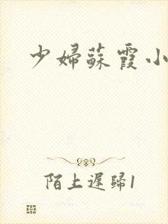 少妇苏霞小说