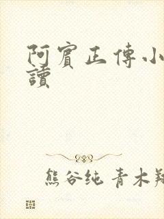 阿宾正传小说在读