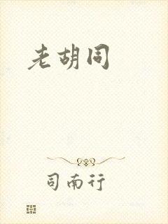老胡同封面