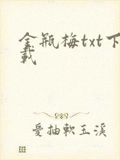 金瓶梅txt下载