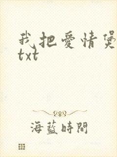 我把爱情煲成汤txt