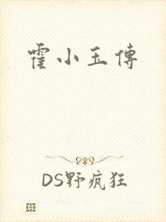 霍小玉传封面