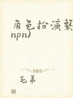 角色扮演系统(npn)封面