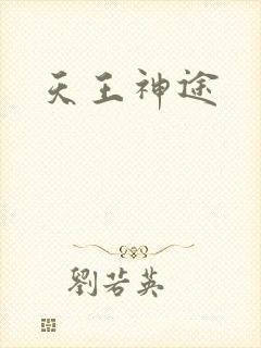 天王神途封面