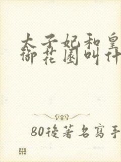 太子妃和皇帝在御花园叫什么小说