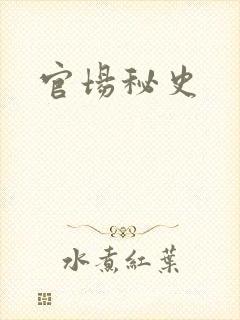 官场秘史