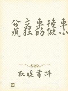 公交车后车座的疯狂的做小