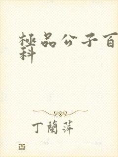 极品公子百度百科