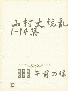 山村大炕乱肉续1-14集封面