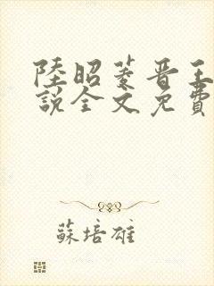 陆昭菱晋王的小说全文免费阅读