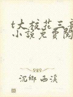 t大校花三部曲小说免费阅读全文