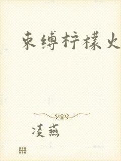 束缚柠檬火焰封面