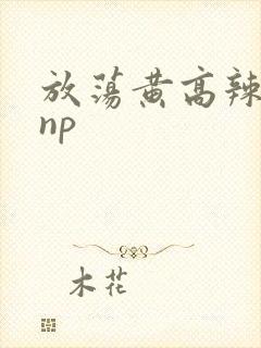 放荡黄高辣h文np