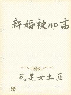 新婚被np高h