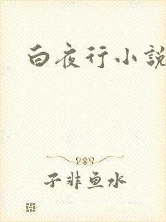白夜行小说下载