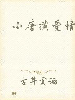 小唐璜爱情历史封面