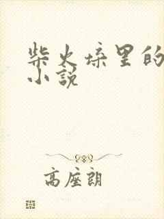 柴火垛里的疯狂小说