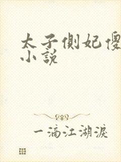 太子侧妃傻乎乎小说封面