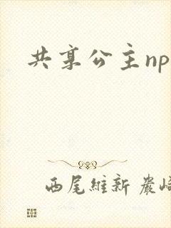 共享公主npc封面