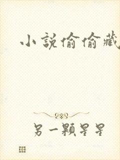 小说偷偷藏不住