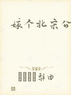 嫁个北宋公务员