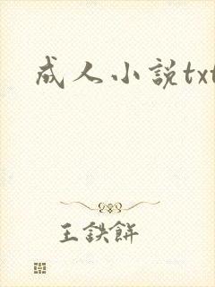 成人小说txt