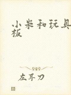 小米和玩具店老板