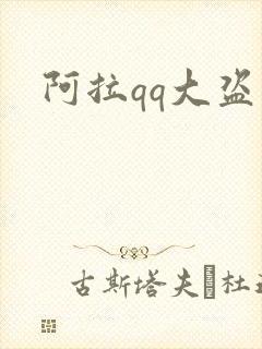 阿拉qq大盗封面