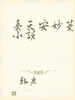 秦天安妙菱修仙小说