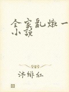全家乱炖一锅烩小说封面