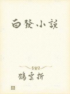 白发小说